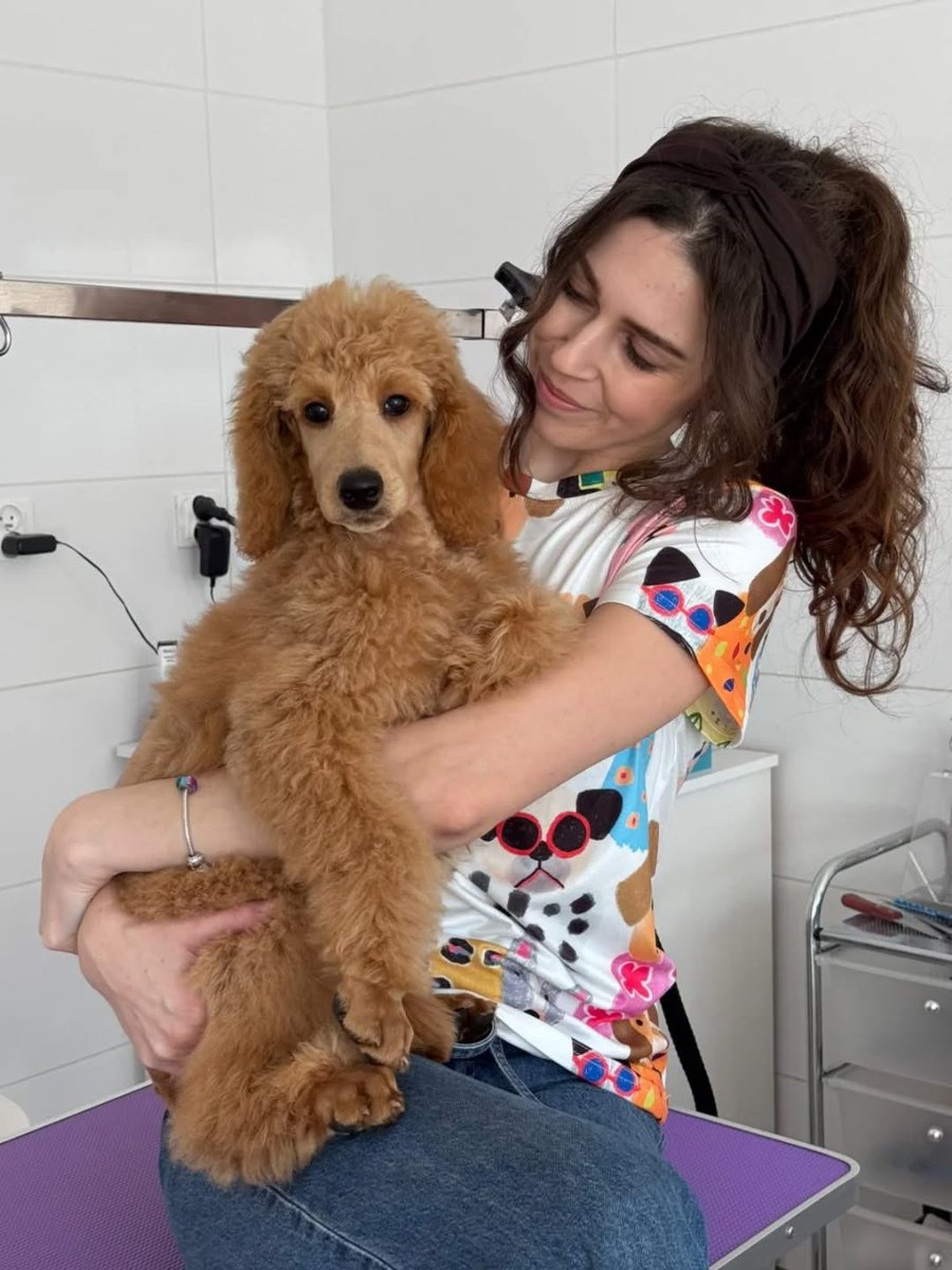 Izabela Przybyłka z pudlem w salonie Dogs Style